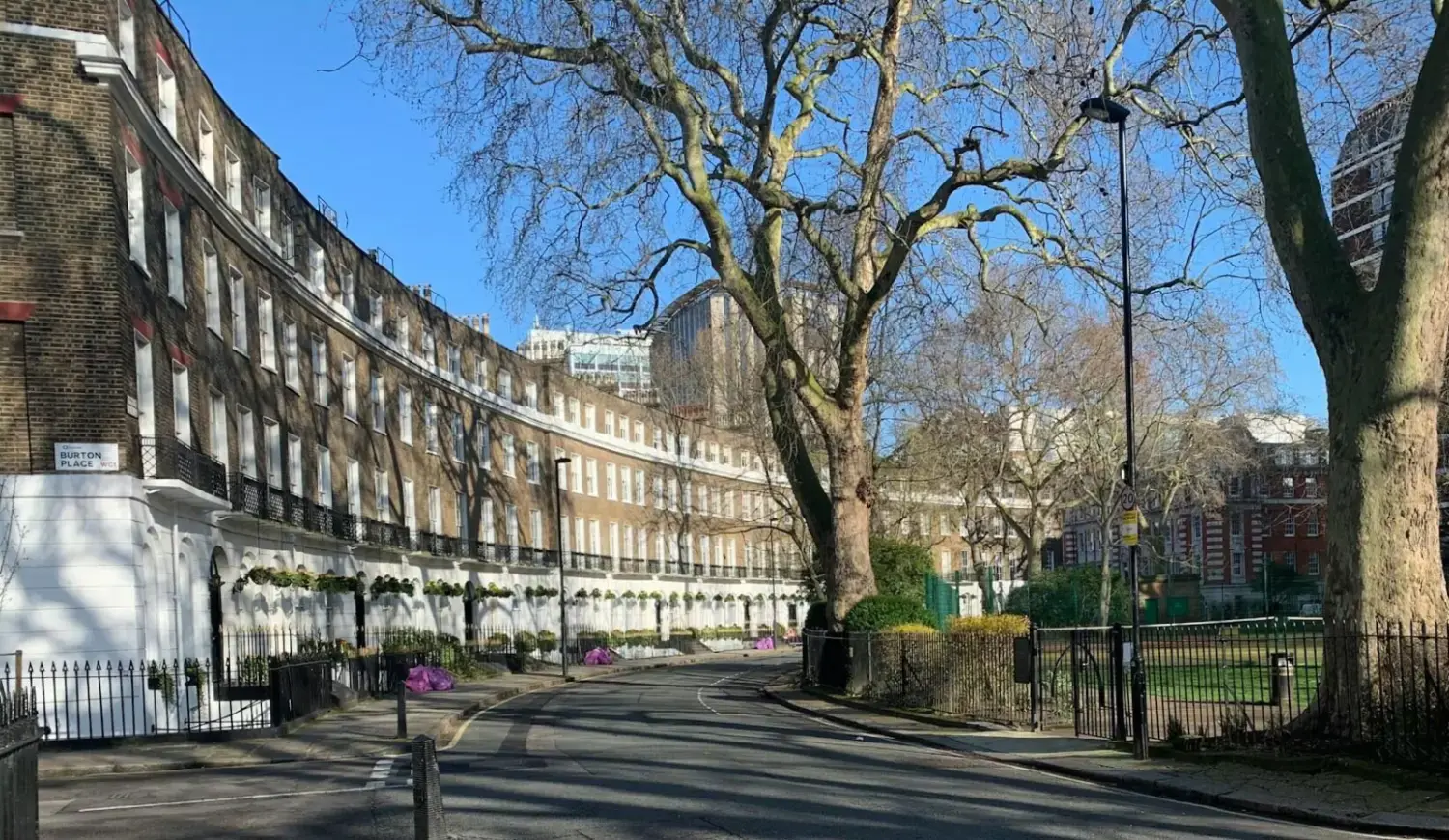 The Georgian brick crescent of Cartwright Gardens in Bloomsbury, with plane trees and railings along the pavement.